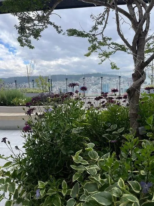 Lindo E Iluminado Apartaestudio En La Carolina Quito Ecuador