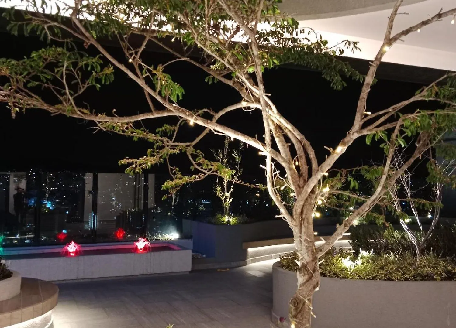 Lindo E Iluminado Apartaestudio En La Carolina contacts